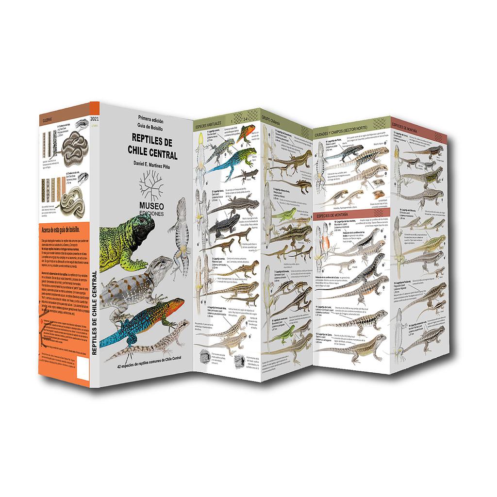REPTILES DE CHILE CENTRAL (DESPLEGABLE)