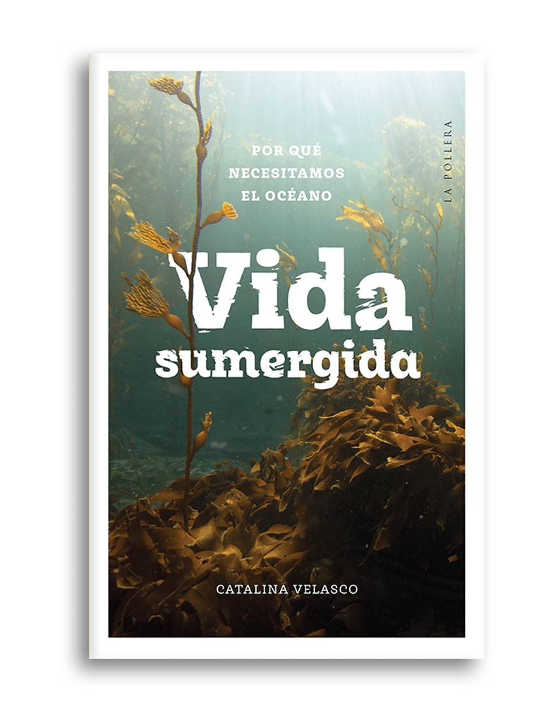 VIDA SUMERGIDA. POR QUE NECESITAMOS EL OCEANO