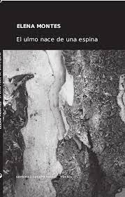 EL ULMO NACE DE UNA ESPINA