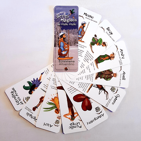 PANTONERA SERES MAGICOS (ECOSISTEMA ALTOANDINO)