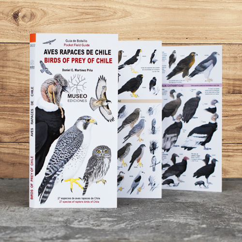 AVES RAPACES DE CHILE (DESPLEGABLE)