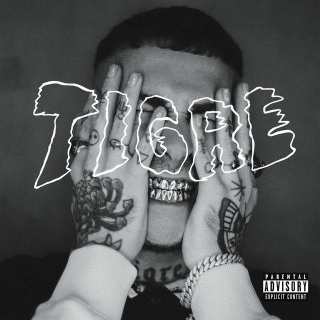 TIGRE (LP)