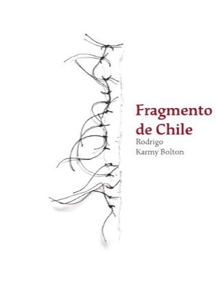 FRAGMENTO DE CHILE