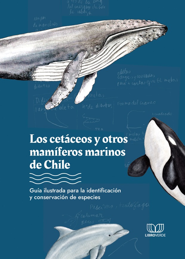 LOS CETACEOS Y OTROS MAMIFEROS MARINOS DE CHILE