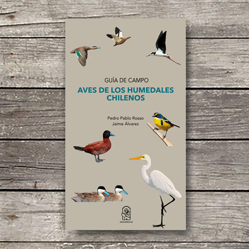 AVES DE LOS HUMEDALES CHILENOS (GUIA DE CAMPO)