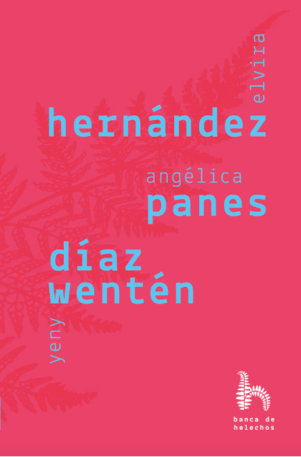 HERNANDEZ PANES DIAZ WANTEN