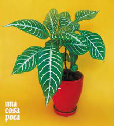 UNA COSA POCA (CD)