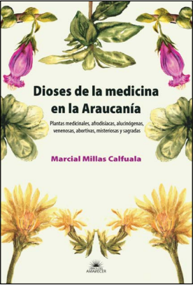 DIOSES DE LA MEDICINA EN LA ARAUCANIA