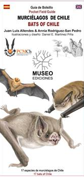MURCIELAGOS DE CHILE (DESPLEGABLE)