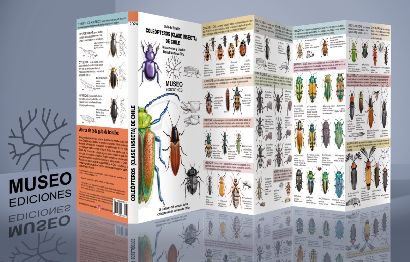 COLEOPTEROS (CLASE INSECTA) DE CHILE
