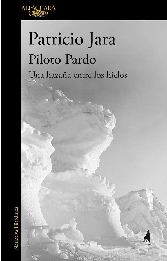 PILOTO PARDO