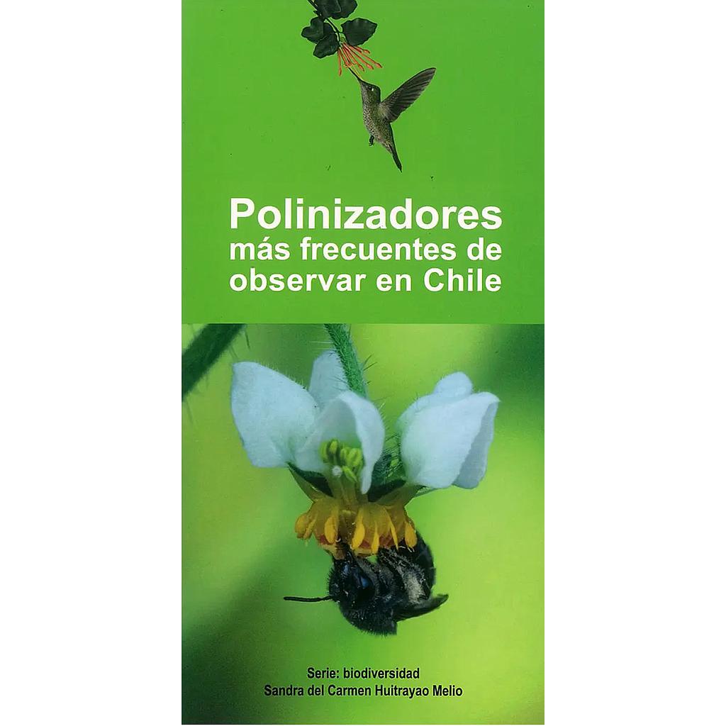 POLINIZADORES MAS FRECUENTES DE OBSERVAR EN CHILE