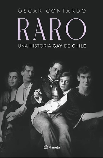 RARO UNA HISTORIA GAY DE CHILE (2025)