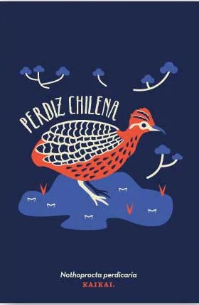 POSTAL PERDIZ CHILENA