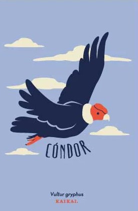 POSTAL CONDOR