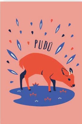 POSTAL PUDU