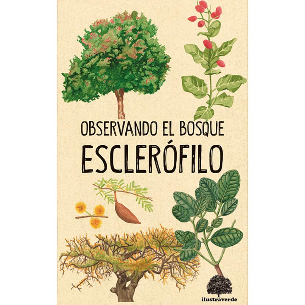 OBSERVANDO EL BOSQUE ESCLEROFILO