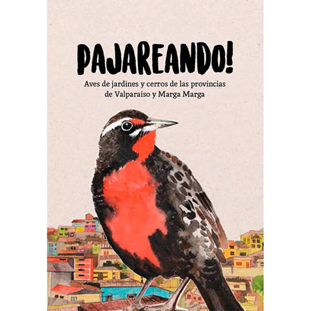 PAJAREANDO (ILUSTRAVERDE)