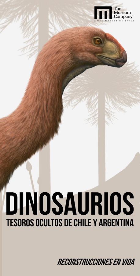 DINOSAURIOS, TESOROS OCULTOS DE CHILE Y ARGENTINA