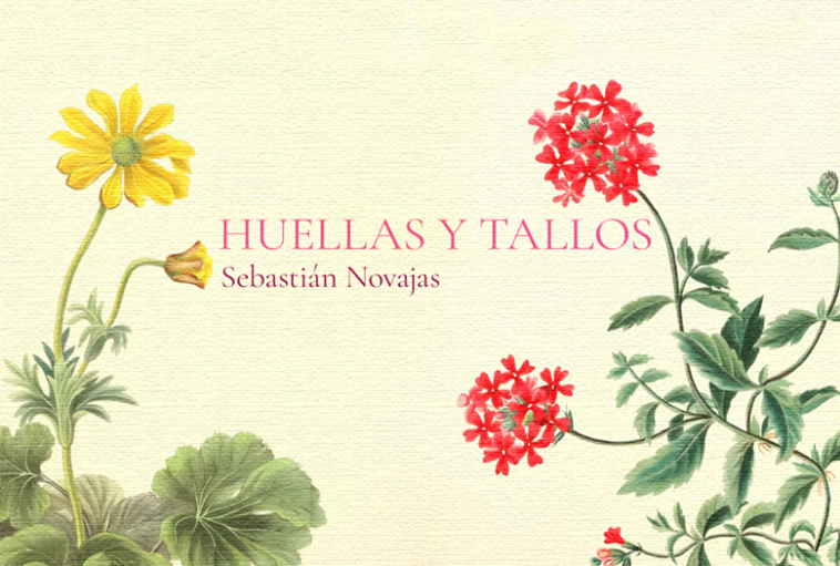 HUELLAS Y TALLOS