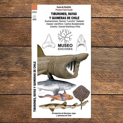 TIBURONES, RAYAS Y QUIMERAS DE CHILE