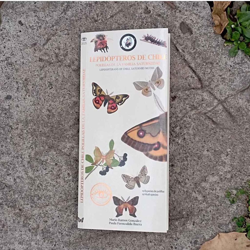 GUIA DE BOLSILLO LEPIDOPTEROS DE CHILE (BEIGE)