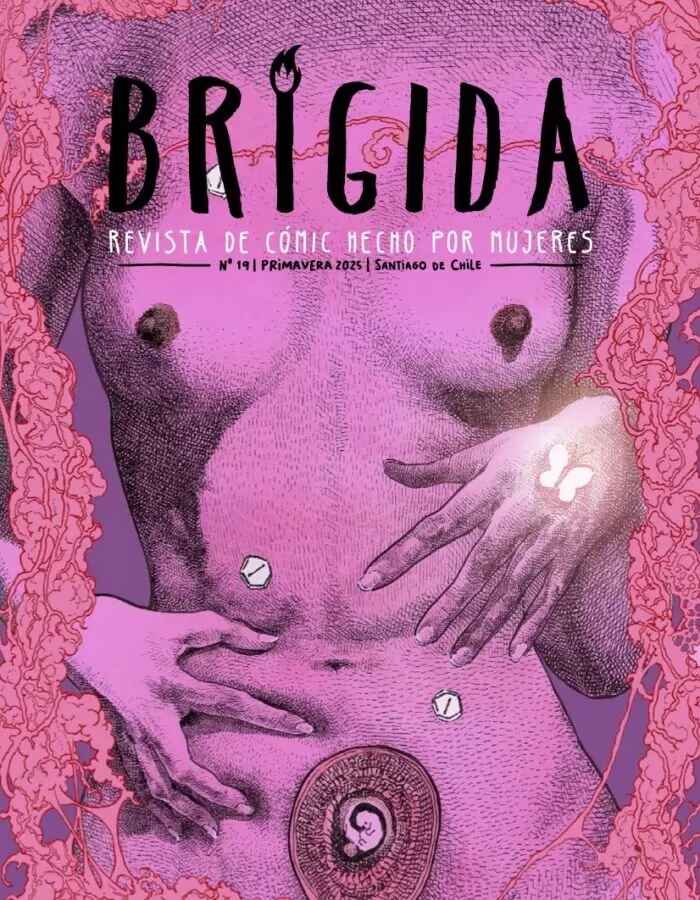 REVISTA BRIGIDA 19