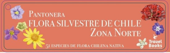 PANTONERA FLORA SILVESTRE ZONA NORTE