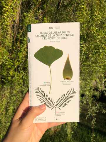 GUIA ARBOLES URBANOS (DESPLEGABLE)