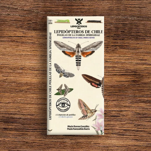GUIA DE BOLSILLO LEPIDOPTEROS DE CHILE (SPHINGIDAE)