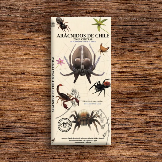 ARACNIDOS DE CHILE ZONA CENTRAL