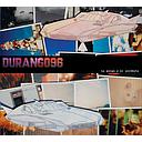 LA PULGA Y EL ACROBATA 