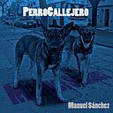 PERRO CALLEJERO