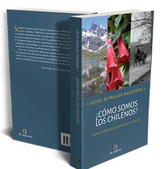 COMO SOMOS LOS CHILENOS