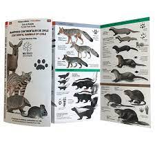 MAMIFEROS CONTINENTALES DE CHILE (DESPLEGABLE)