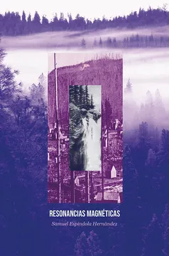 RESONANCIAS MAGNETICAS