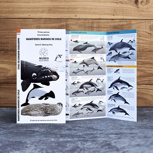 MAMIFEROS MARINOS DESPLEGABLE 
