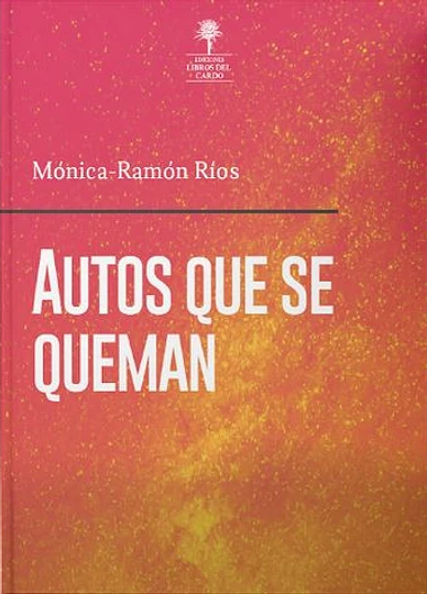 AUTOS QUE SE QUEMAN