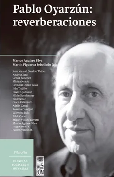 PABLO OYARZUN REVERBERACIONES