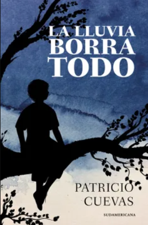 LA LLUVIA BORRA TODO