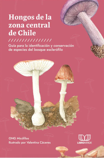 HONGOS DE LA ZONA CENTRAL DE CHILE