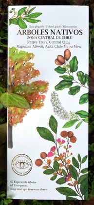 ARBOLES NATIVOS ZONA CENTRAL (GUIA DE BOLSILLO)