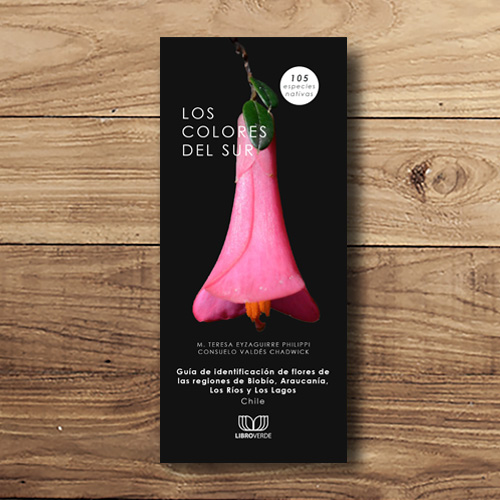 LOS COLORES DEL SUR