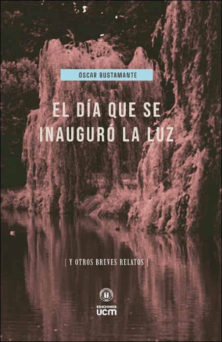 EL DIA QUE SE INAUGURÓ LA LUZ