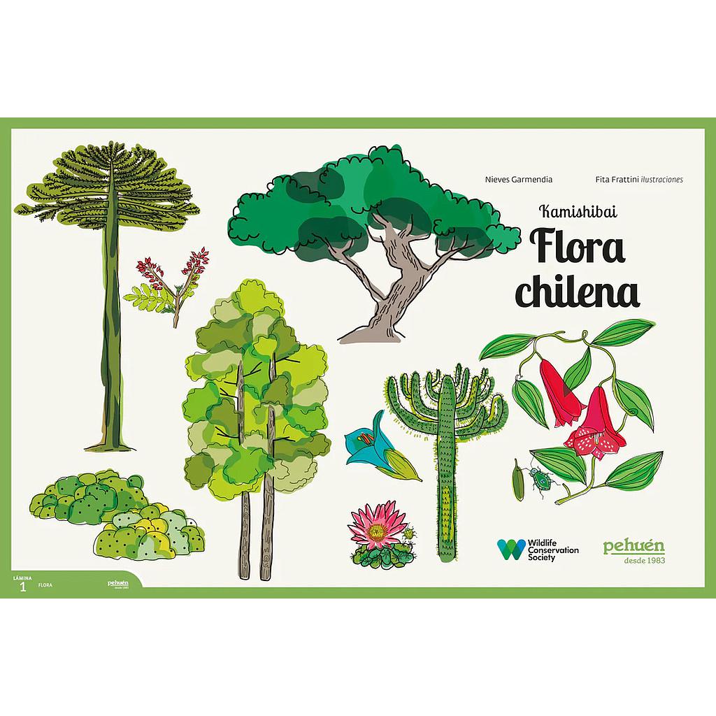 KAMISHIBAI FLORA CHILENA