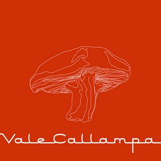 VALE CALLAMPA (CD)