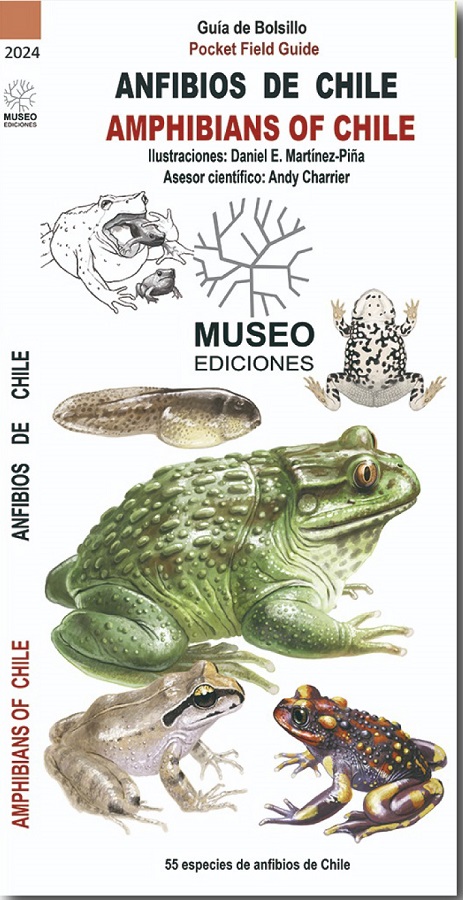 GUIA DE BOLSILLO ANFIBIOS DE CHILE