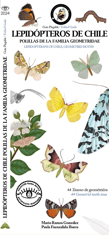 GUIA DE BOLSILLO LEPIDOPTEROS DE CHILE