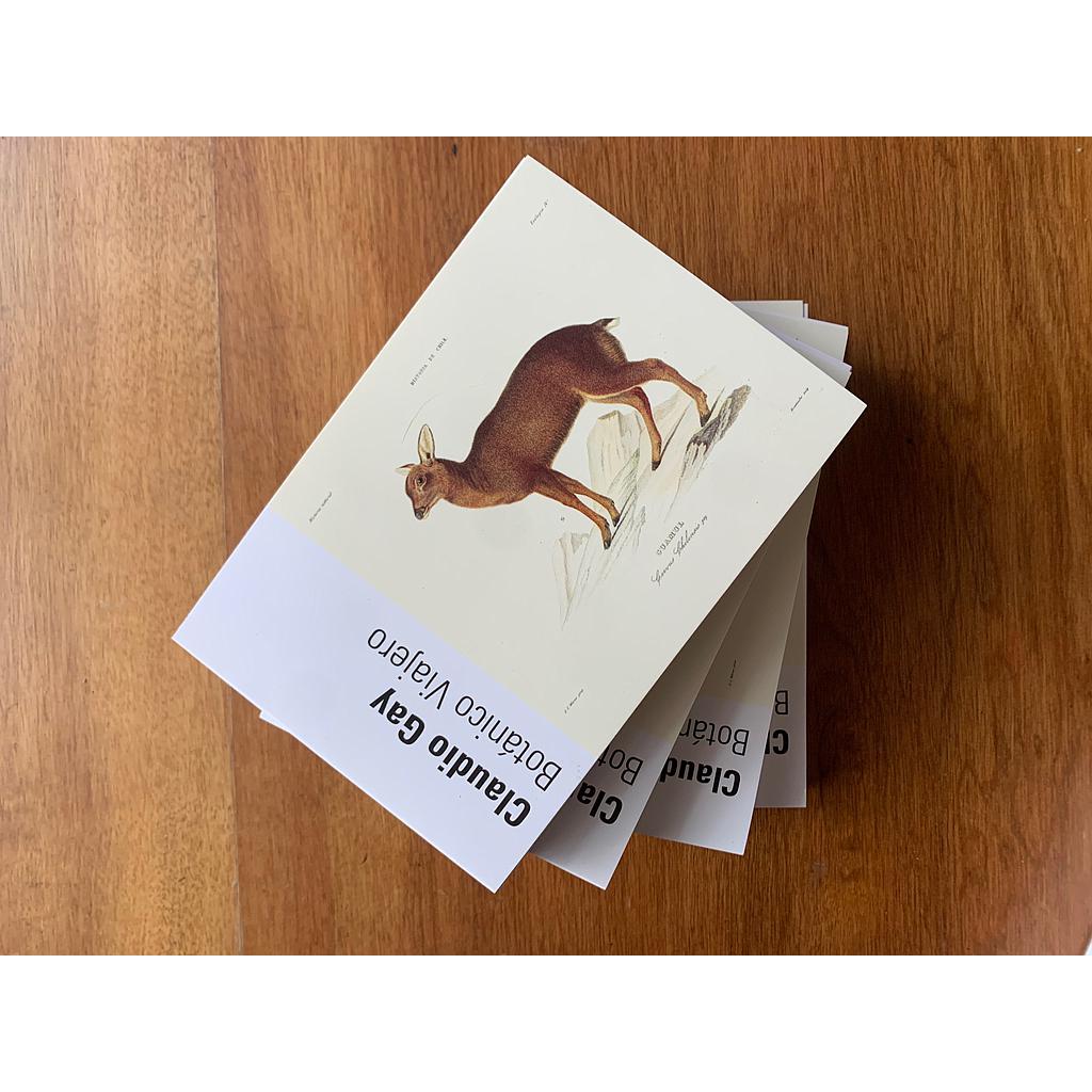 CLAUDIO GAY BOTANICO VIAJERO (SET POSTALES)