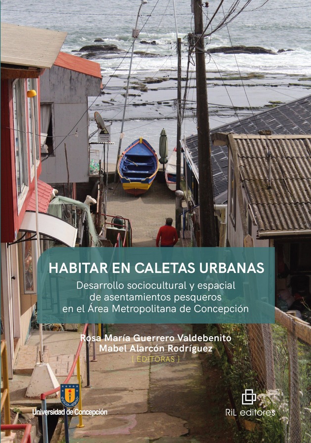 HABITAR EN CALETAS URBANAS